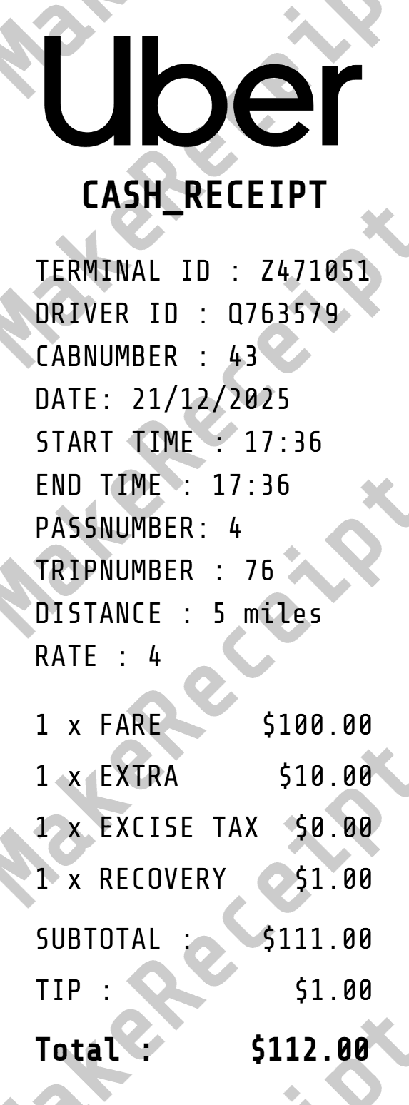 Cash / Taxi Receipt preview